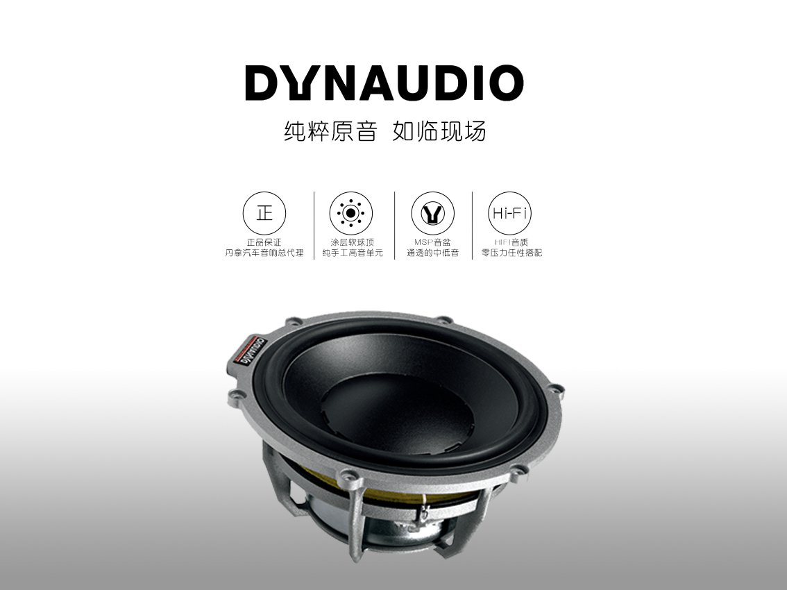 丹拿 DYNAUDIO 原装进口汽车音响ESOTAR 650额定功率200瓦中低音喇叭 6.5寸汽车喇叭